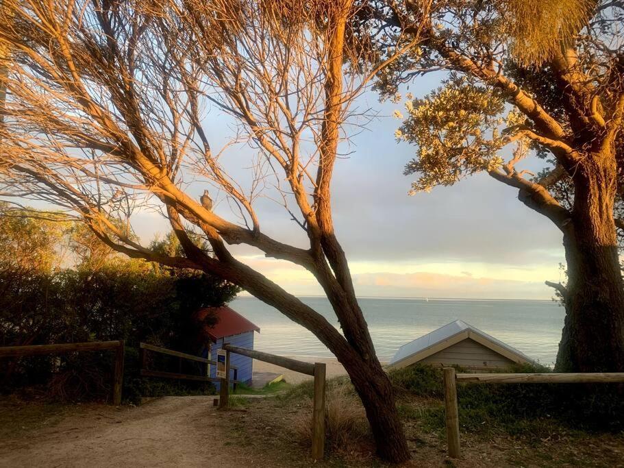 Arthurs Seat Cottage - Sulla Collina Buitenkant foto